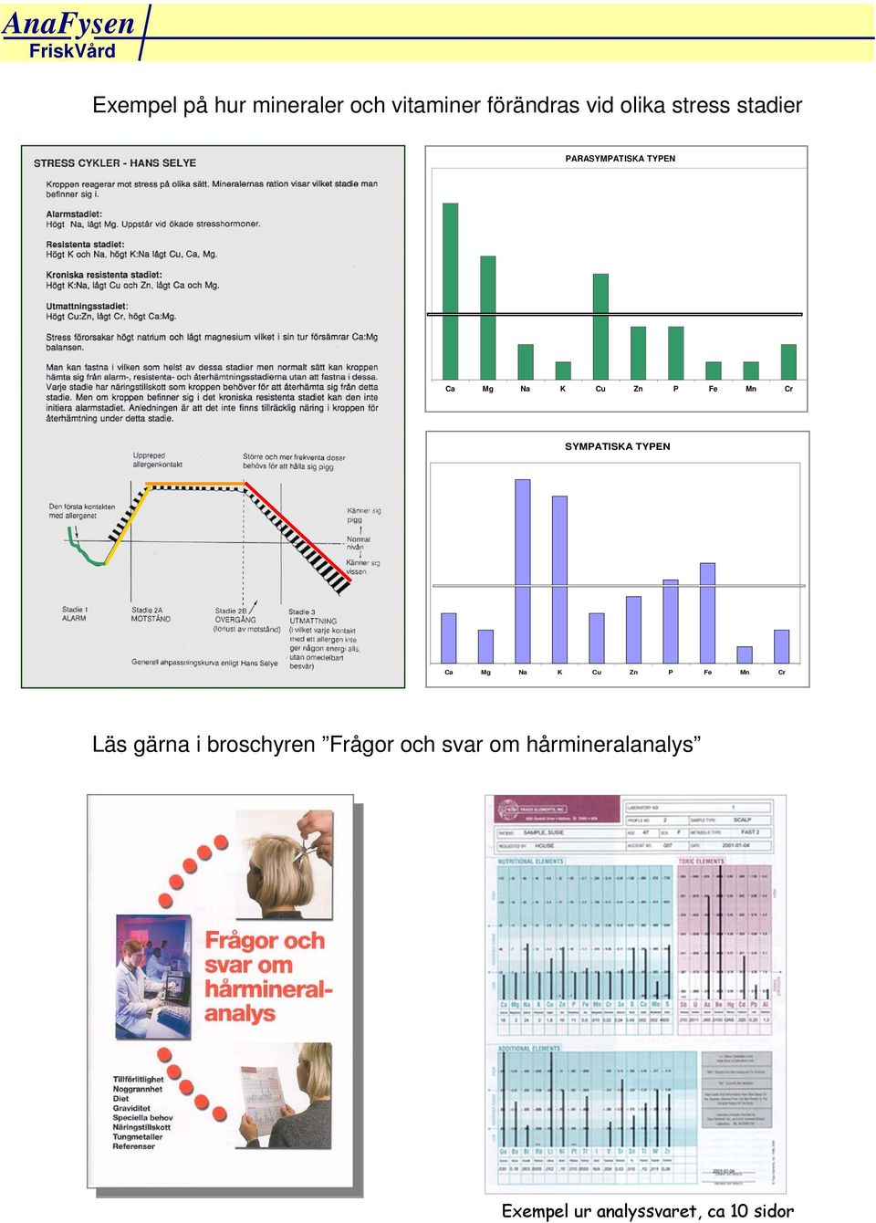 SYMPATISKA TYPEN Ca Mg Na K Cu Zn P Fe Mn Cr Läs gärna i