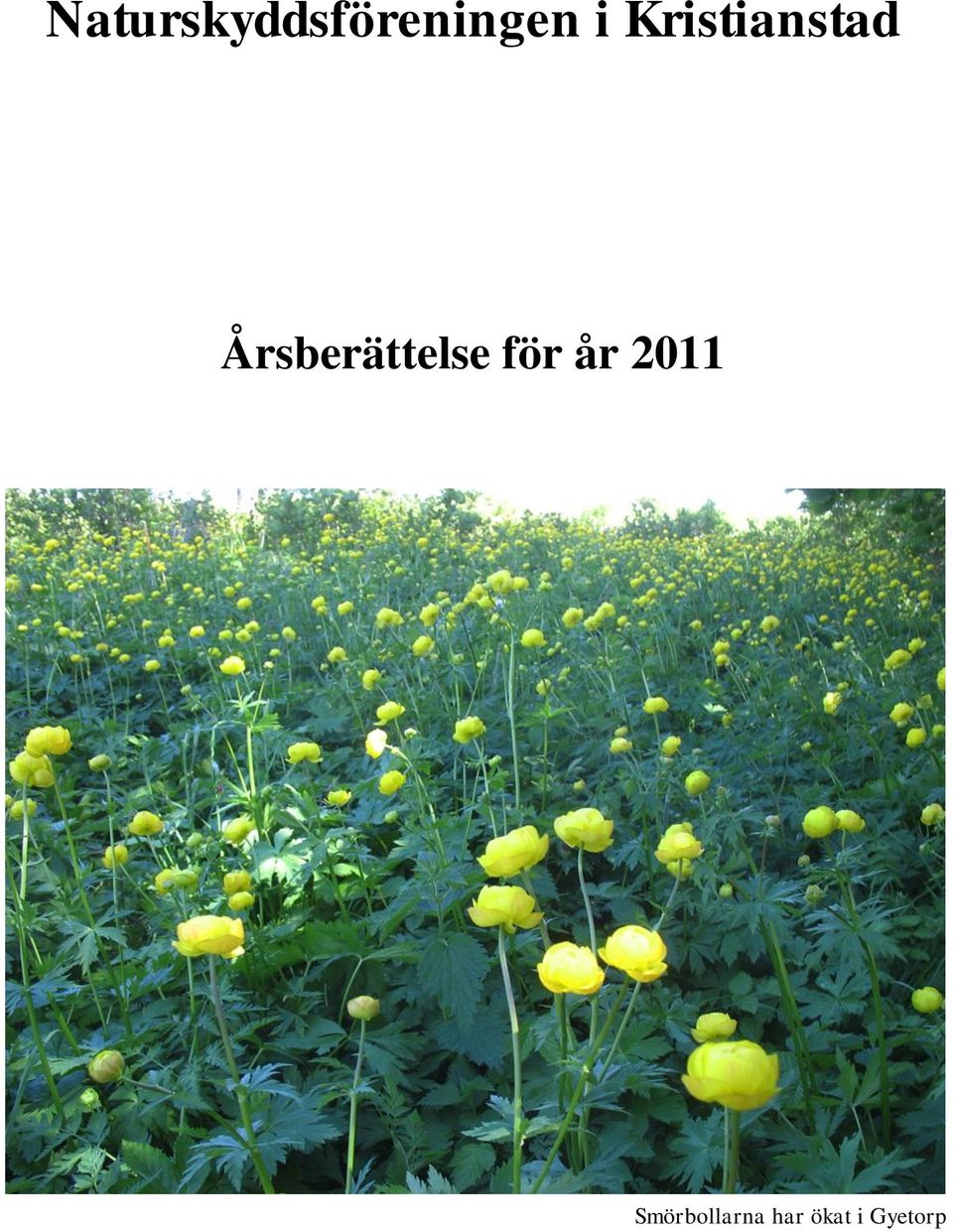 Årsberättelse för år