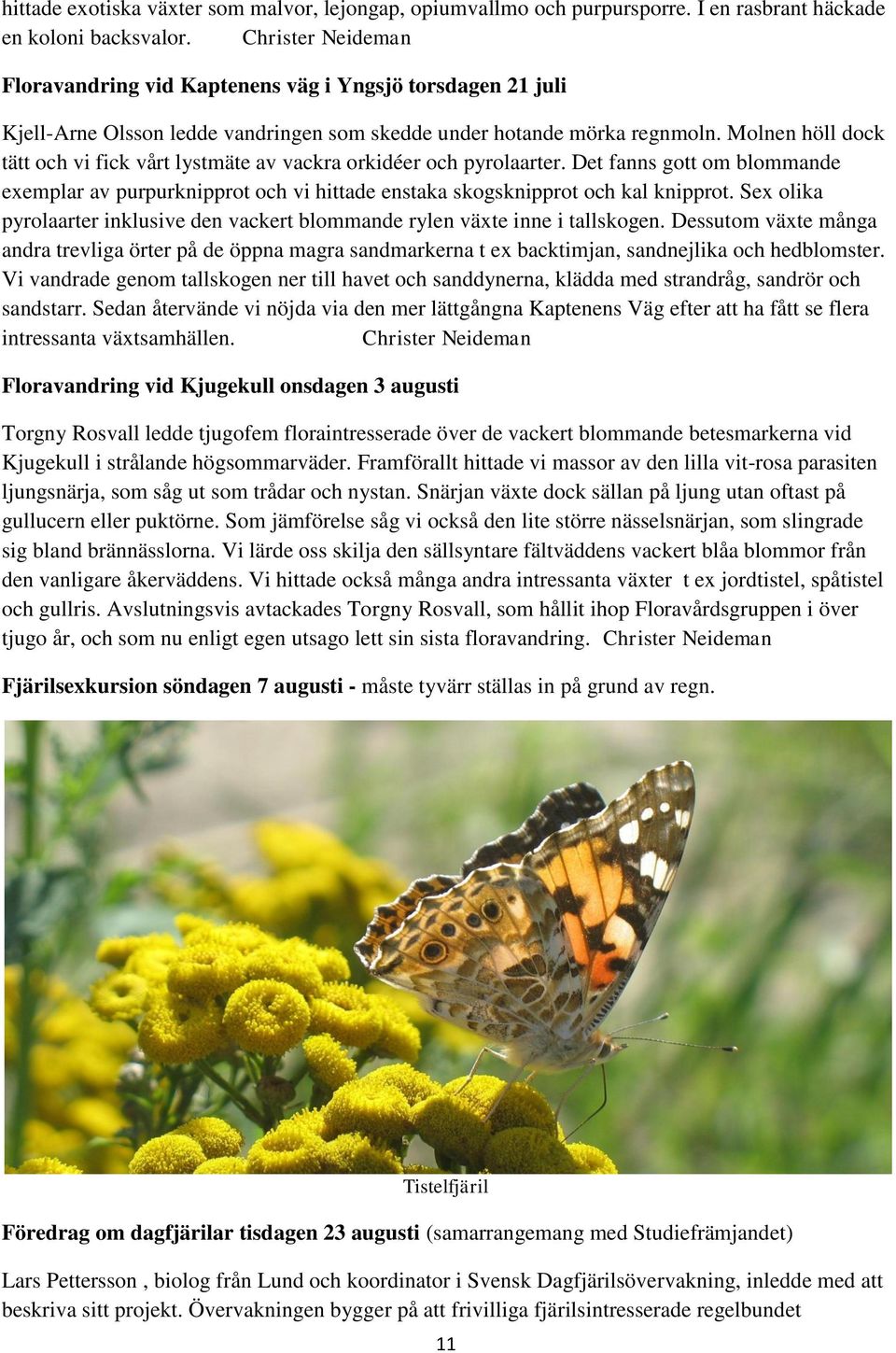 Molnen höll dock tätt och vi fick vårt lystmäte av vackra orkidéer och pyrolaarter. Det fanns gott om blommande exemplar av purpurknipprot och vi hittade enstaka skogsknipprot och kal knipprot.