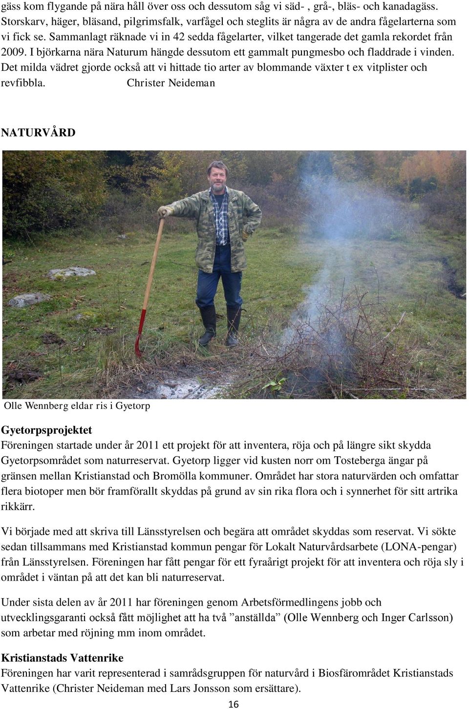 Sammanlagt räknade vi in 42 sedda fågelarter, vilket tangerade det gamla rekordet från 2009. I björkarna nära Naturum hängde dessutom ett gammalt pungmesbo och fladdrade i vinden.