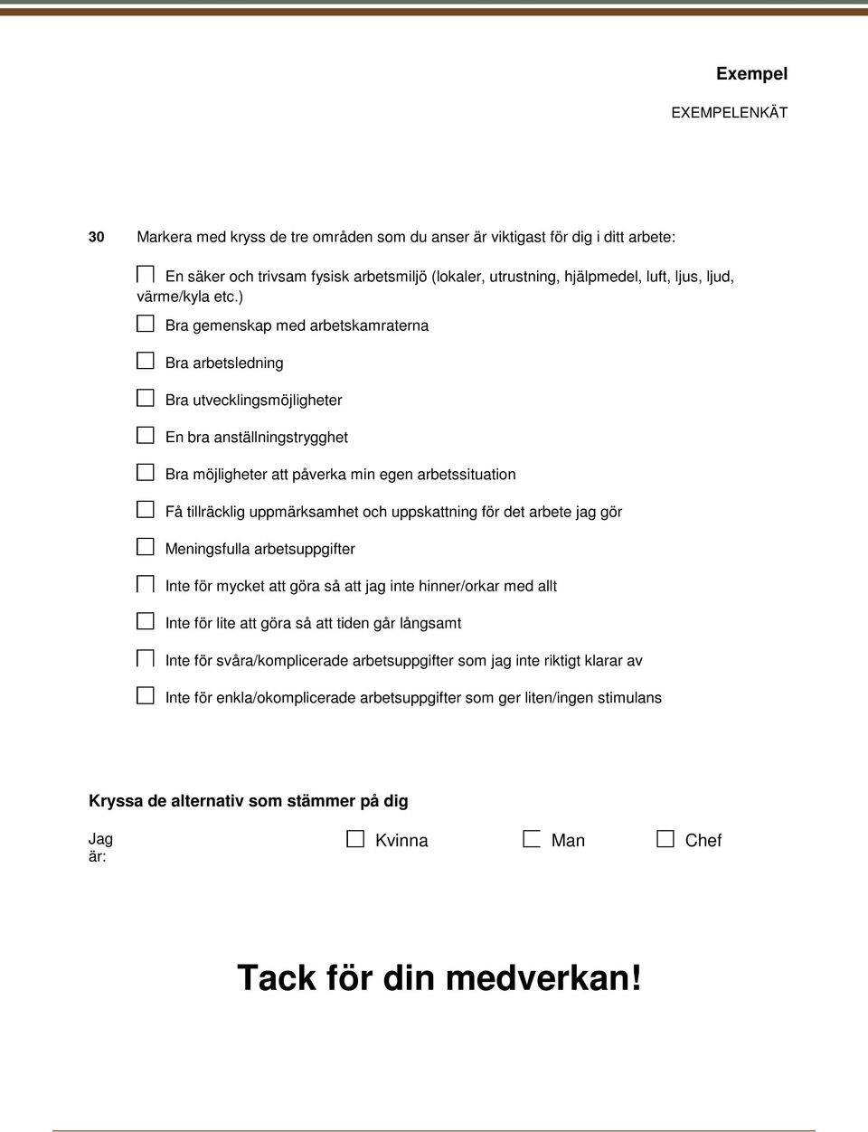 uppskattning för det arbete jag gör Meningsfulla arbetsuppgifter Inte för mycket att göra så att jag hinner/orkar med allt Inte för lite att göra så att tiden går långsamt Inte för