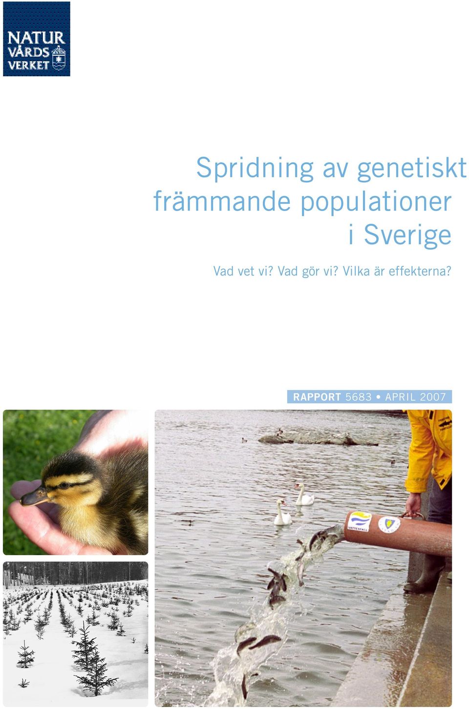 Sverige Vad vet vi? Vad gör vi?