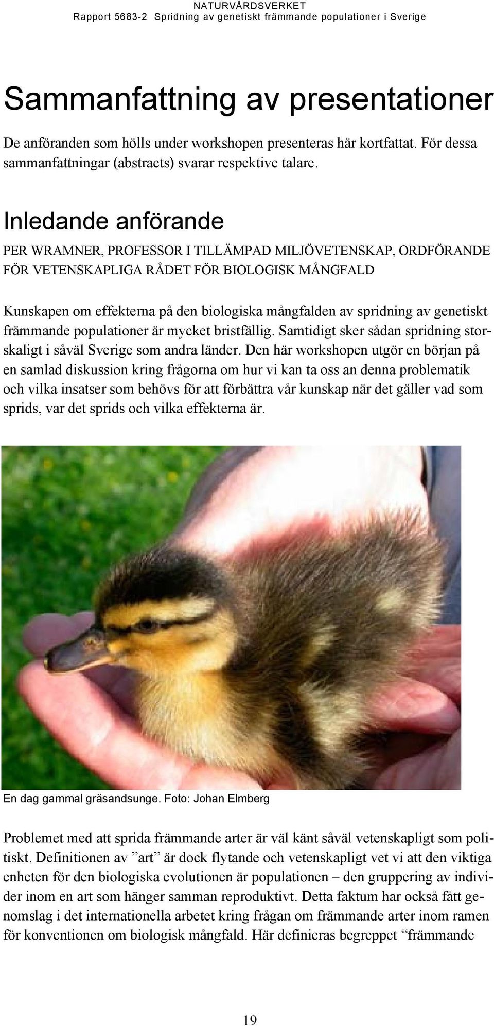 genetiskt främmande populationer är mycket bristfällig. Samtidigt sker sådan spridning storskaligt i såväl Sverige som andra länder.