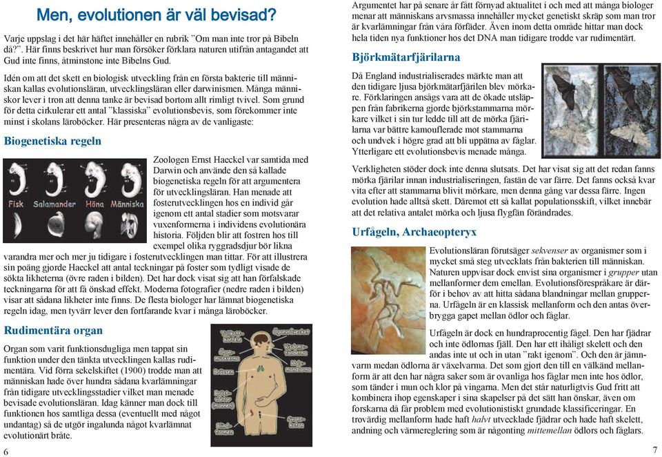 Idén om att det skett en biologisk utveckling från en första bakterie till människan kallas evolutionsläran, utvecklingsläran eller darwinismen.