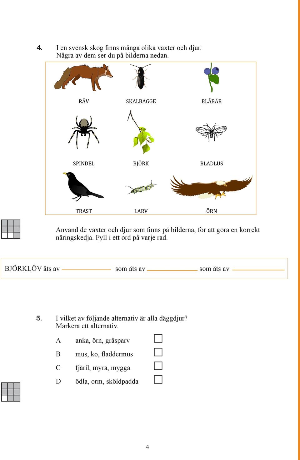 göra en korrekt näringskedja. Fyll i ett ord på varje rad. BJÖRKLÖV äts av som äts av som äts av 5.