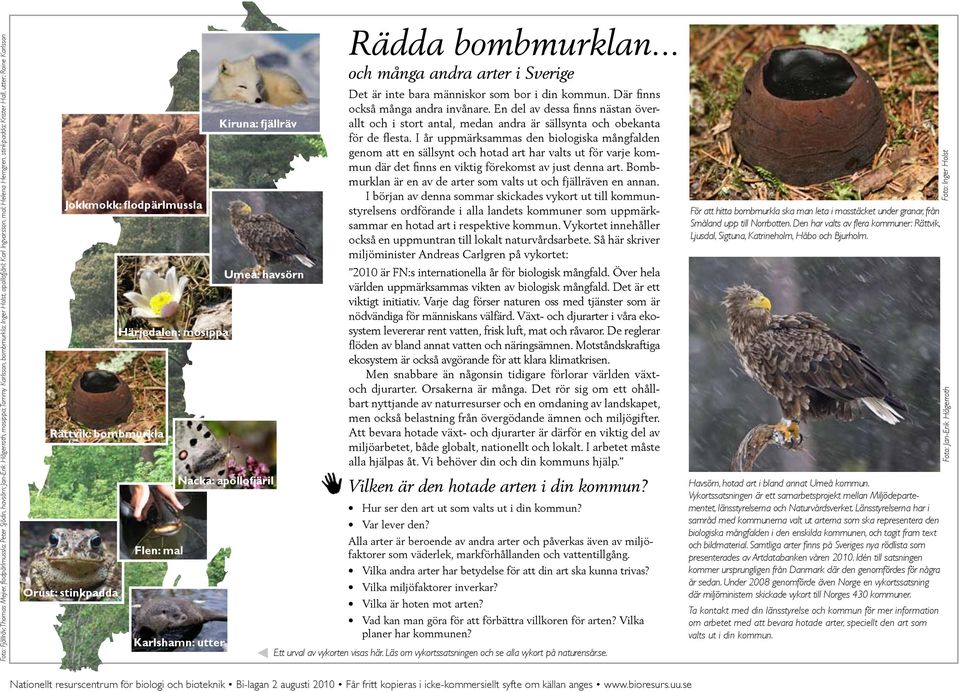 apollofjäril Rädda bombmurklan... och många andra arter i Sverige Det är inte bara människor som bor i din kommun. Där finns också många andra invånare.
