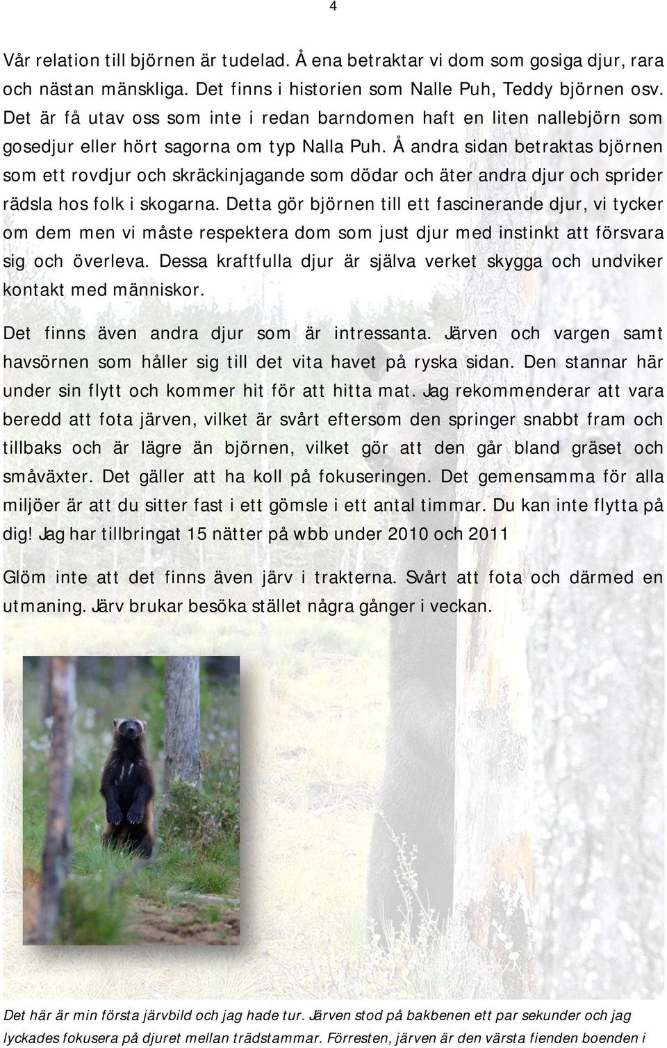 Å andra sidan betraktas björnen som ett rovdjur och skräckinjagande som dödar och äter andra djur och sprider rädsla hos folk i skogarna.