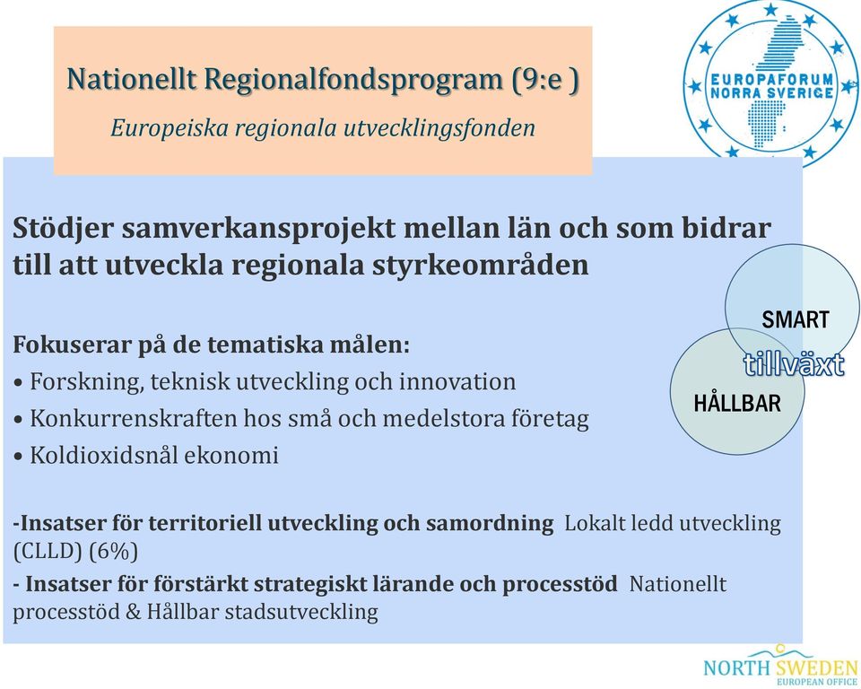 Konkurrenskraften hos små och medelstora företag Koldioxidsnål ekonomi HÅLLBAR SMART -Insatser för territoriell utveckling och