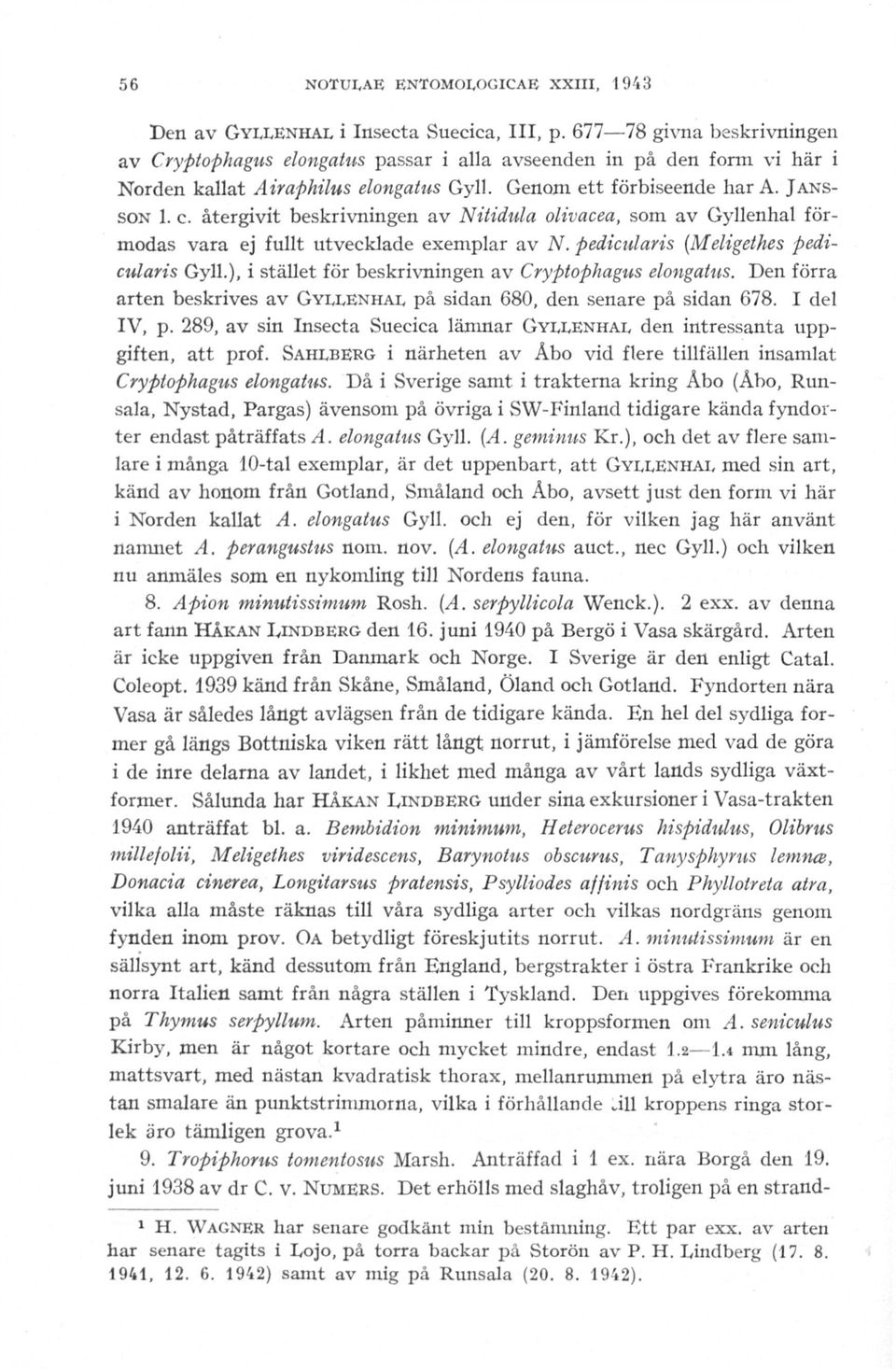 återgivit beskrivningen av Niiidula olivacea, som av Gyllenhal förmodas vara ej fullt utvecklade exemplar av N. pedicularis {Meligethes pedicularis Gyll.