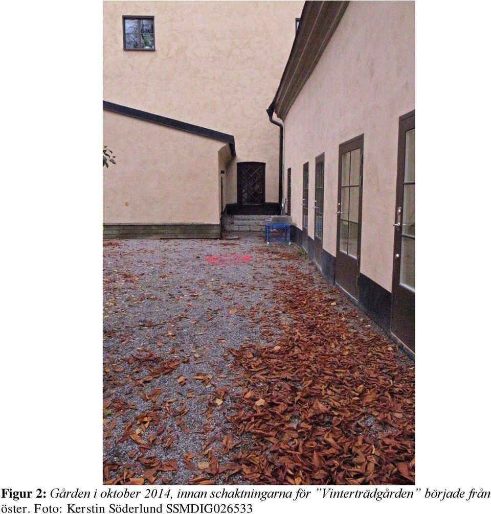 Vinterträdgården började från