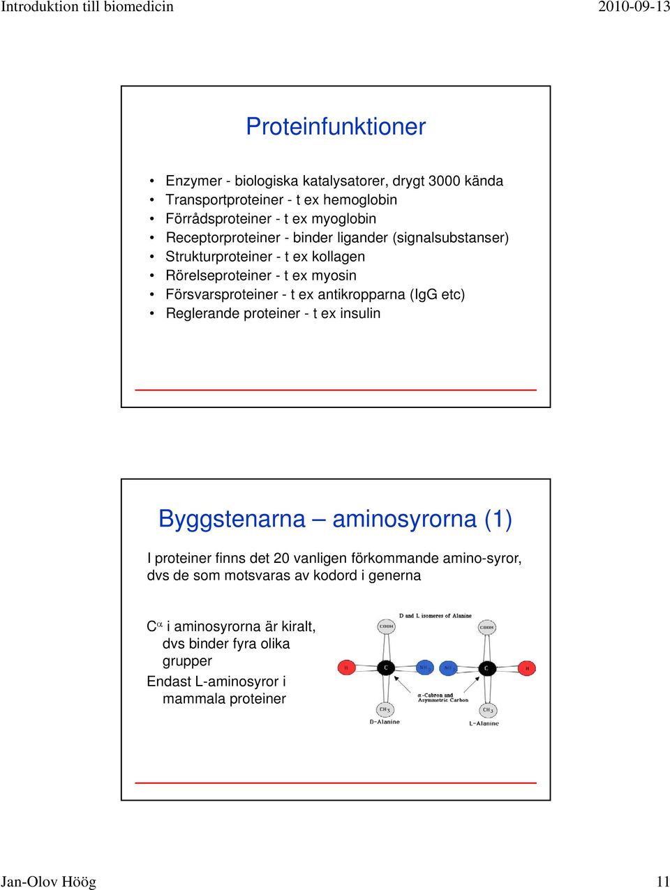 antikropparna (IgG etc) Reglerande proteiner - t ex insulin Byggstenarna aminosyrorna (1) I proteiner finns det 20 vanligen förkommande