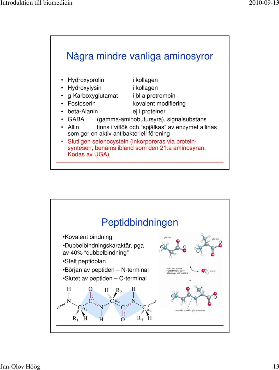 antibakteriell förening Slutligen selenocystein (inkorporeras via proteinsyntesen, benäms ibland som den 21:a aminosyran.