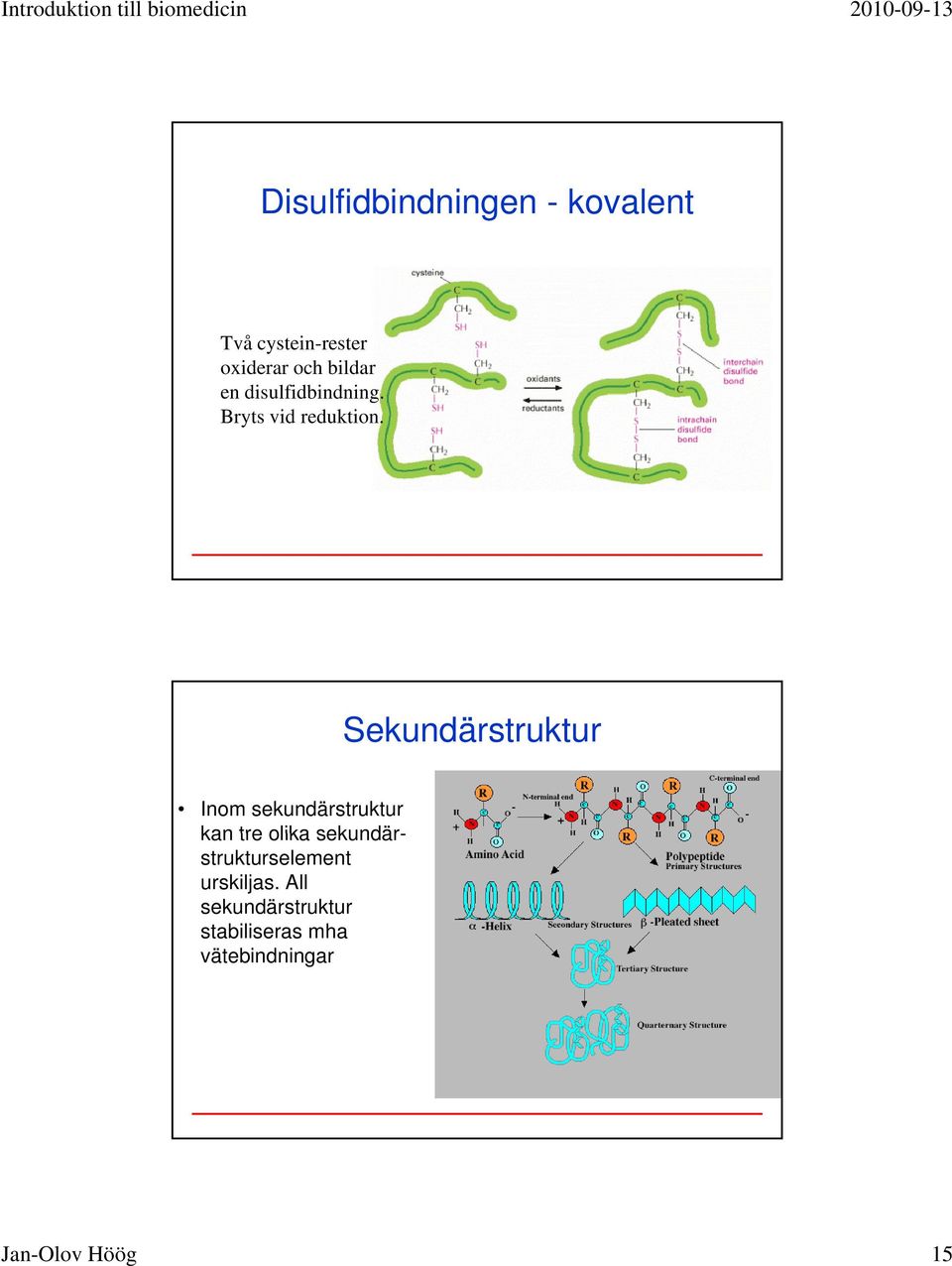 Sekundärstruktur Inom sekundärstruktur kan tre olika