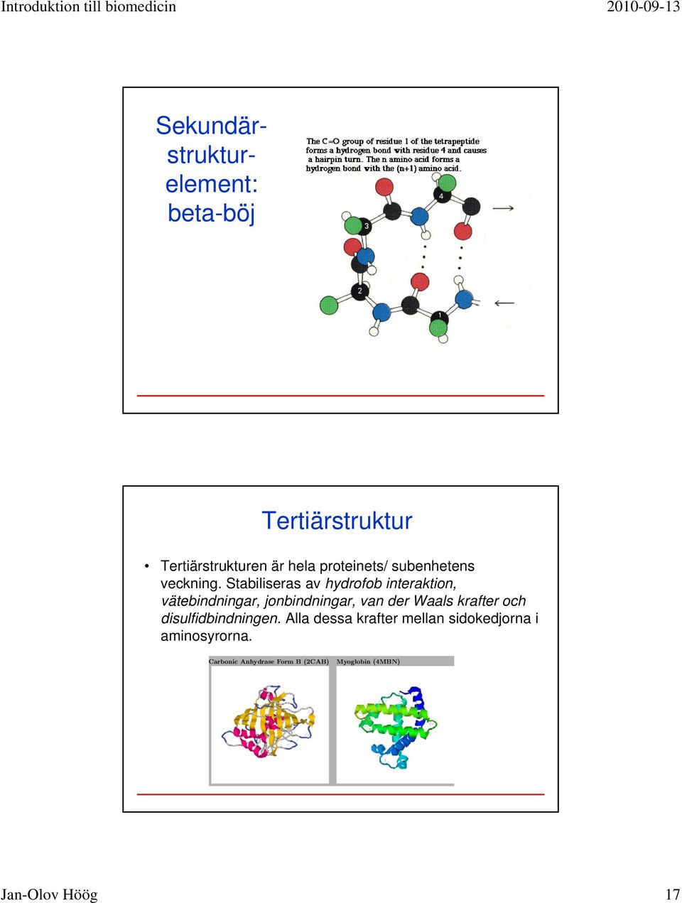 Stabiliseras av hydrofob interaktion, vätebindningar, jonbindningar, van