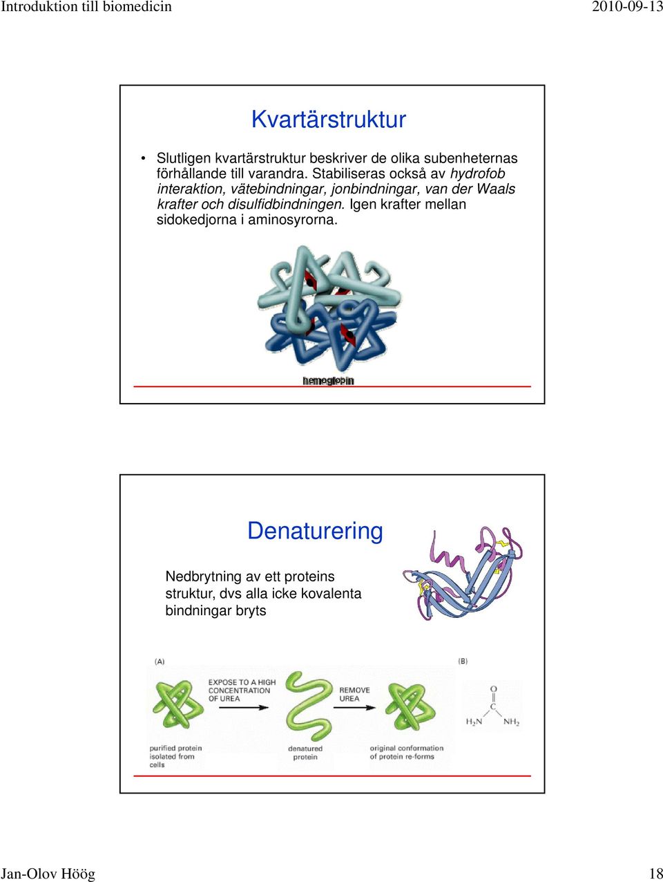 disulfidbindningen. Igen krafter mellan sidokedjorna i aminosyrorna.