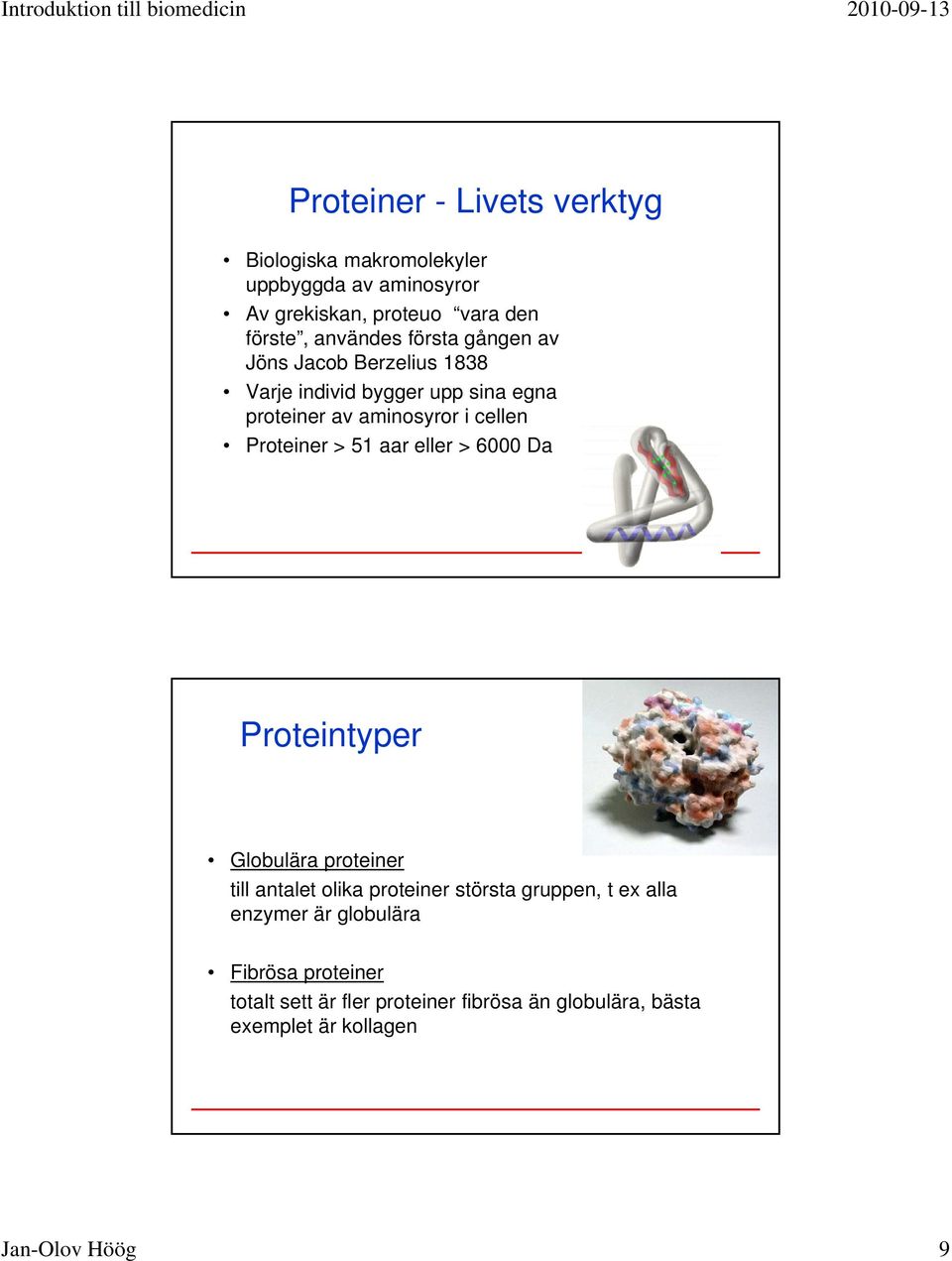 Proteiner > 51 aar eller > 6000 Da Proteintyper Globulära proteiner till antalet olika proteiner största gruppen, t ex alla