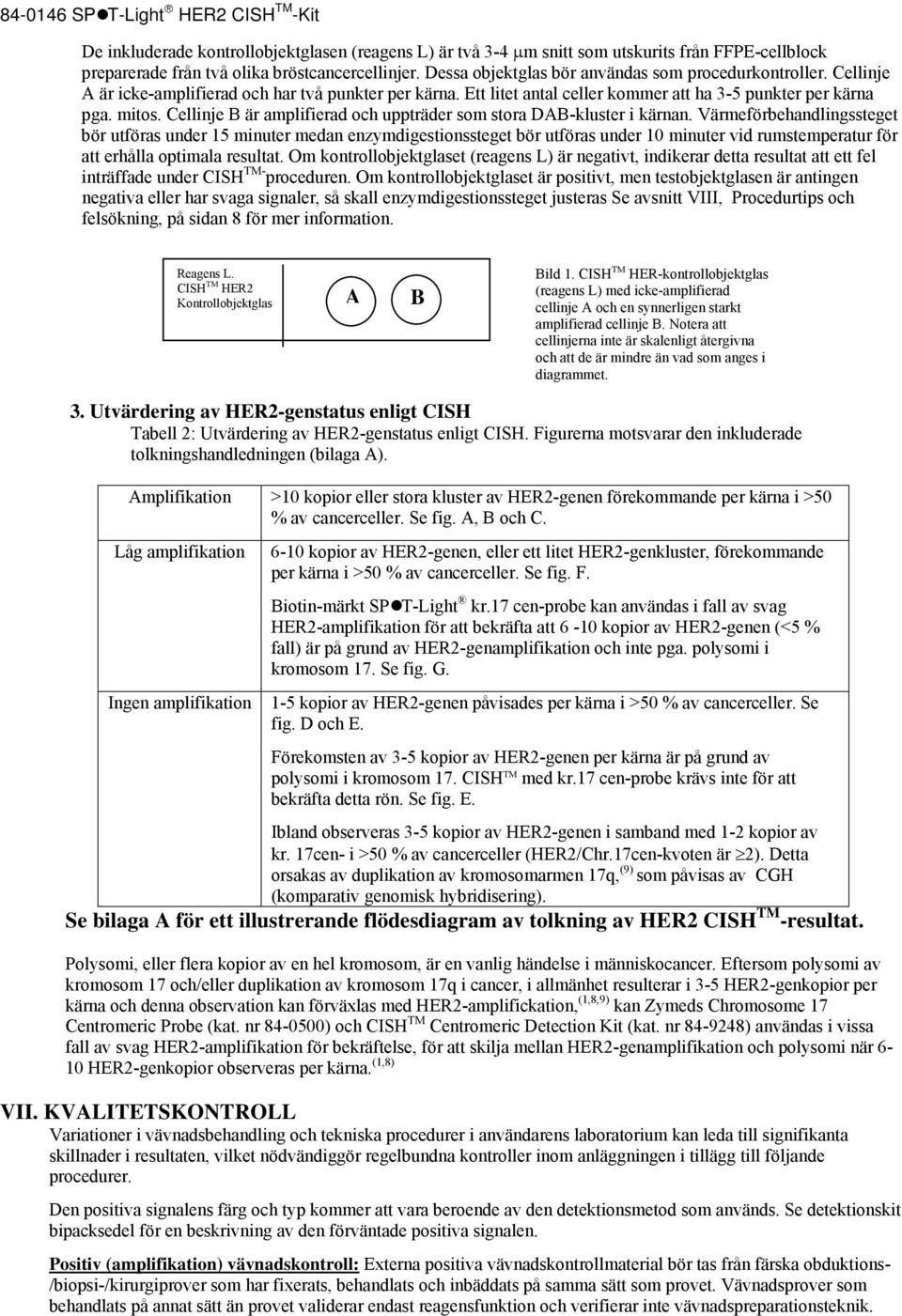 Cellinje B är amplifierad och uppträder som stora DAB-kluster i kärnan.