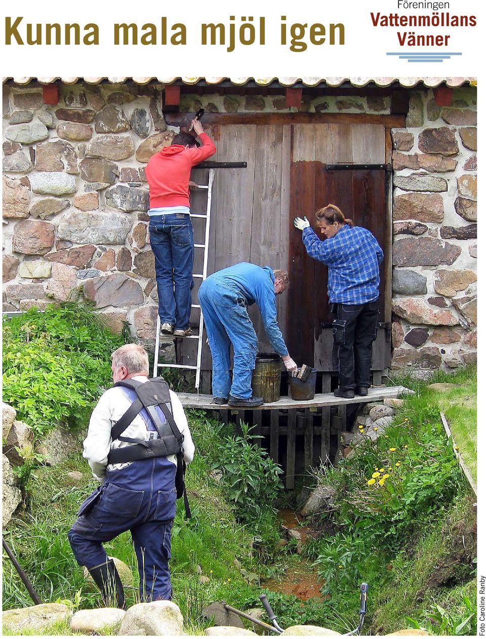 igen Foto