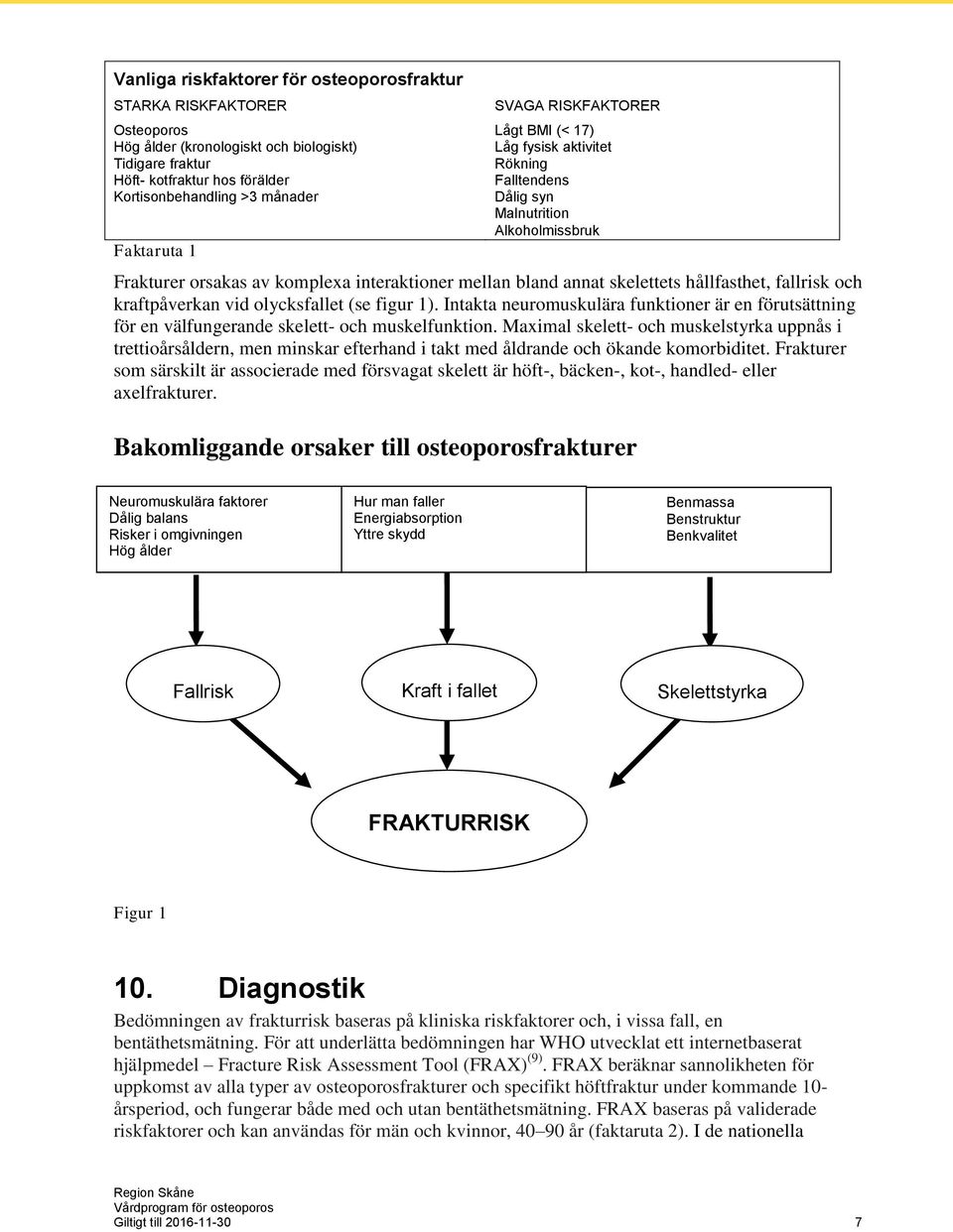 hållfasthet, fallrisk och kraftpåverkan vid olycksfallet (se figur 1). Intakta neuromuskulära funktioner är en förutsättning för en välfungerande skelett- och muskelfunktion.