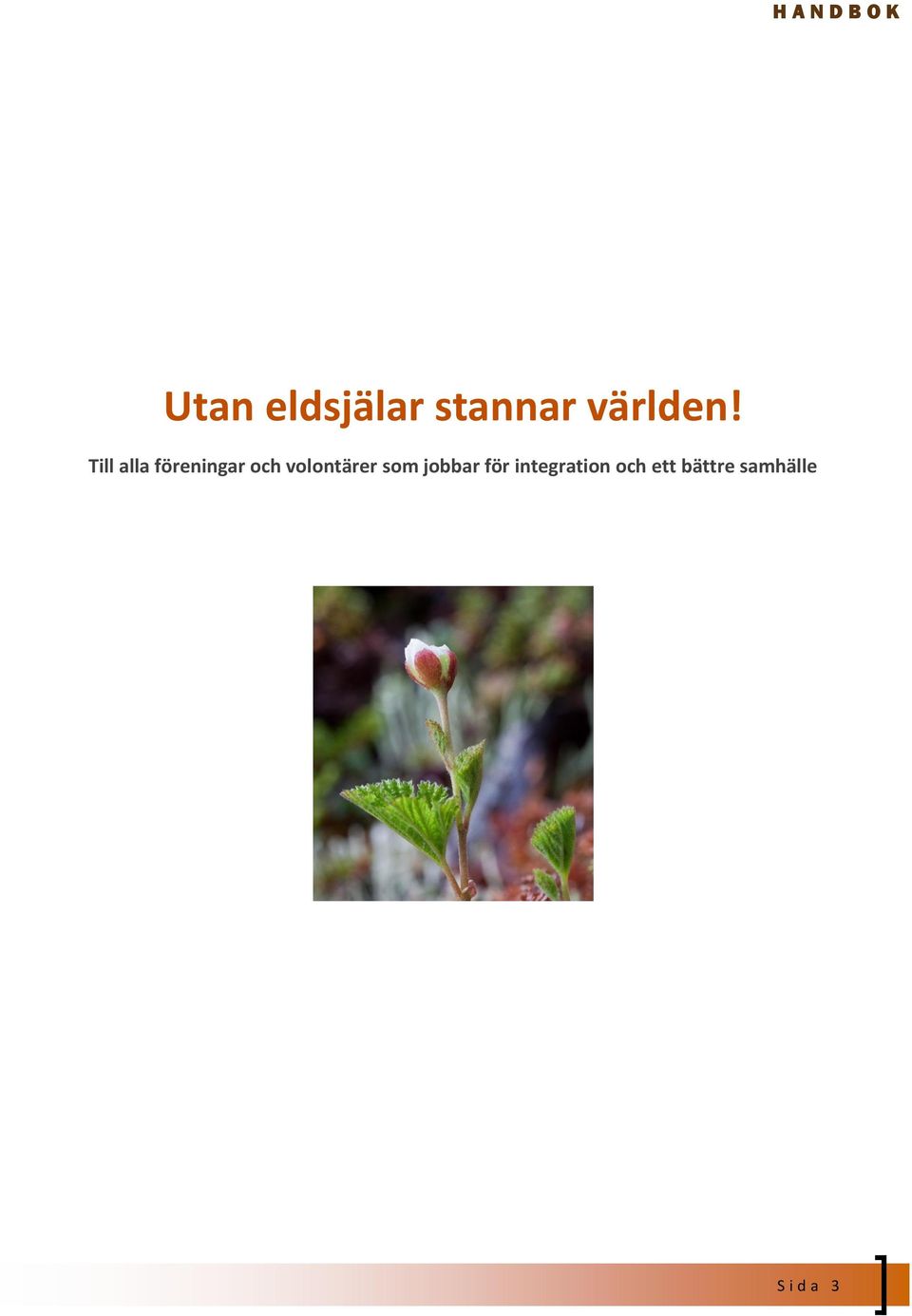 Till alla föreningar och volontärer