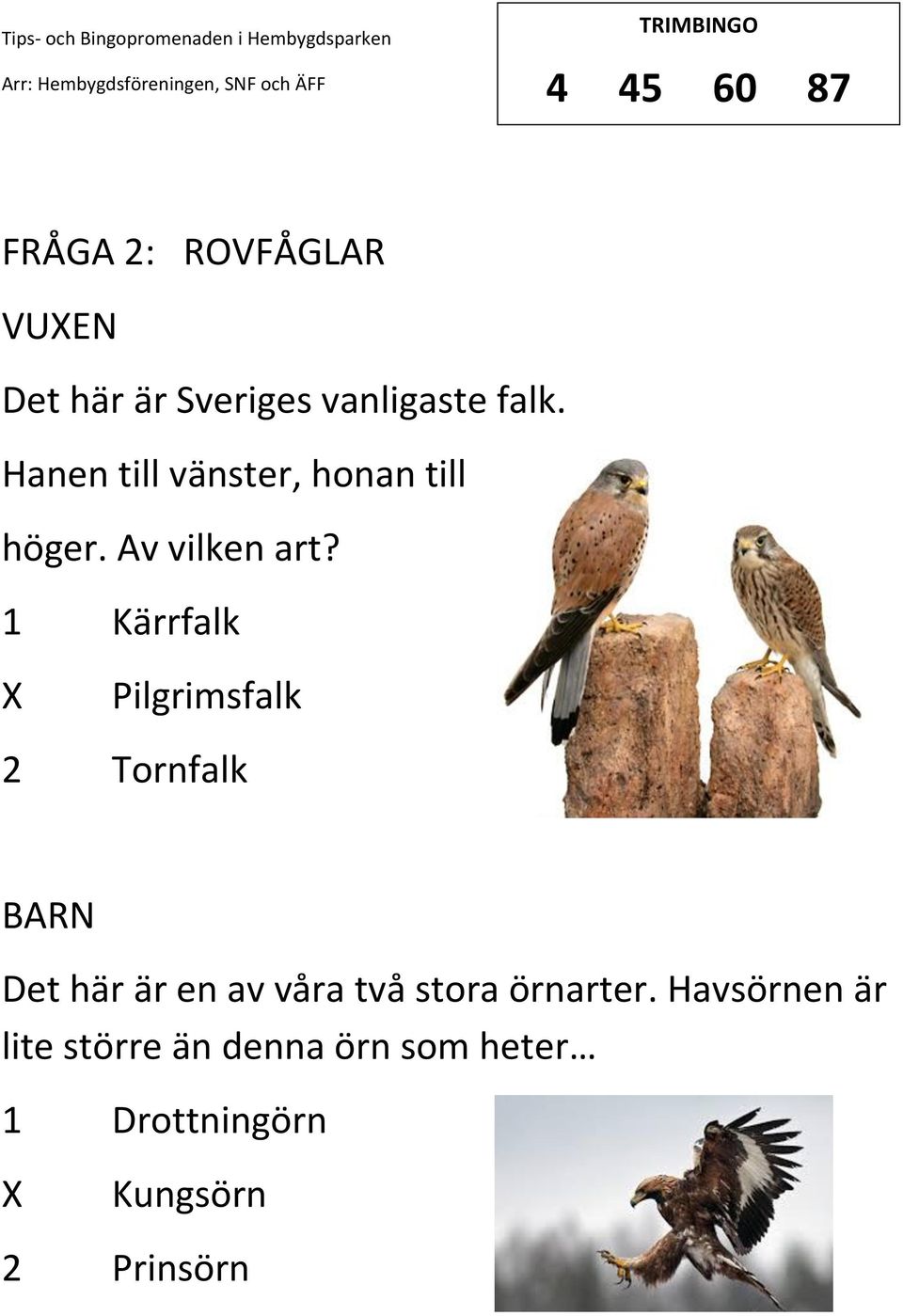 1 Kärrfalk Pilgrimsfalk 2 Tornfalk Det här är en av våra två stora