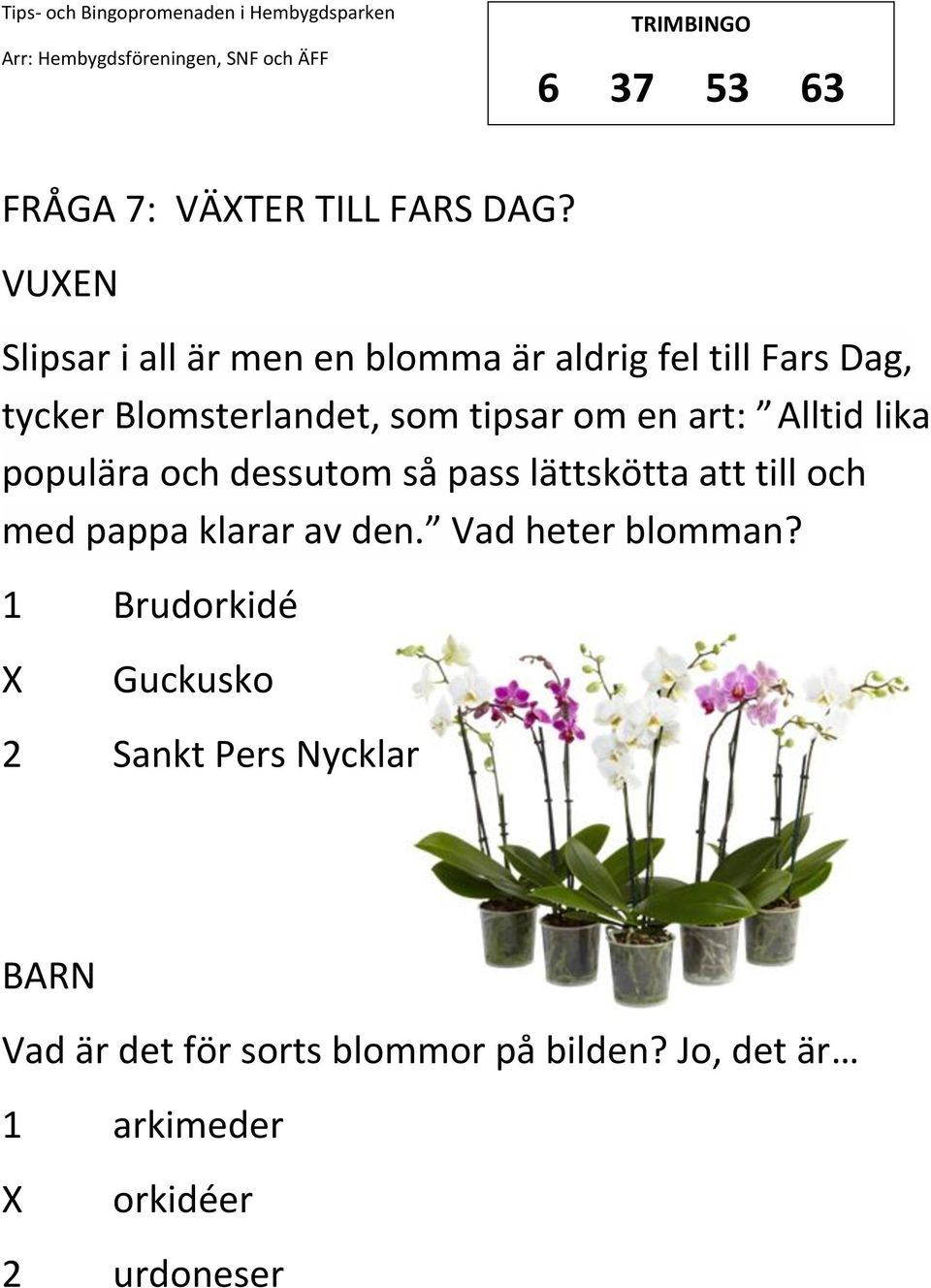 tipsar om en art: Alltid lika populära och dessutom så pass lättskötta att till och med pappa