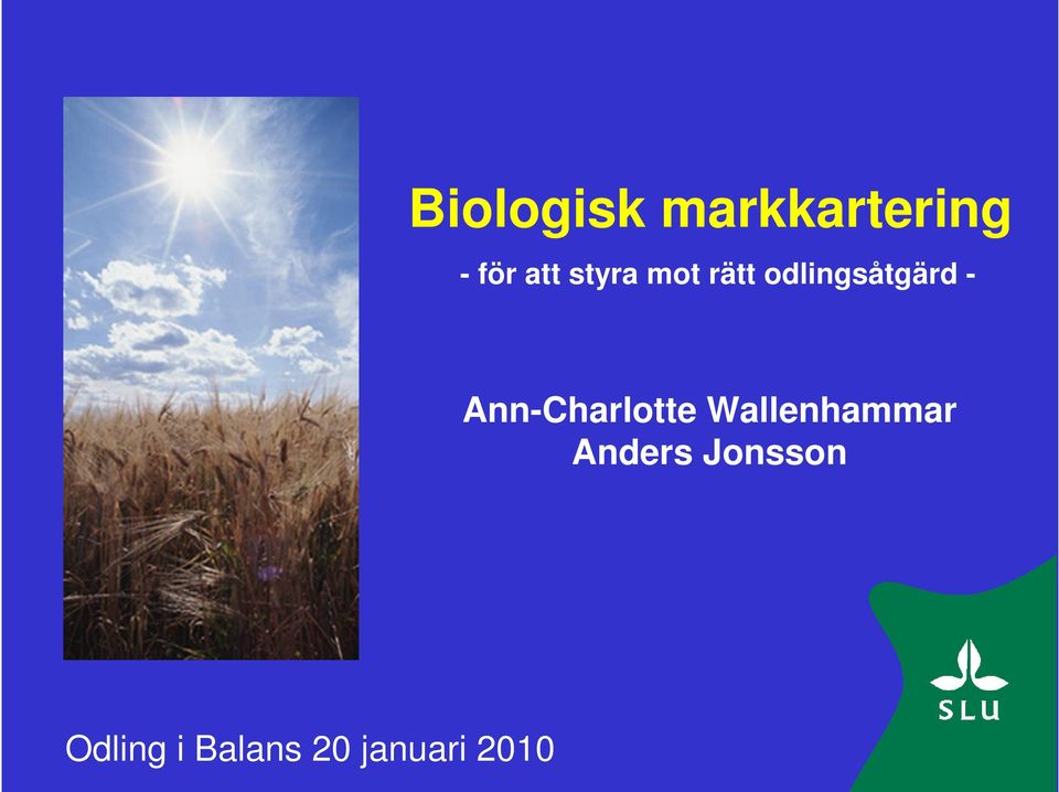 Ann-Charlotte Wallenhammar Anders