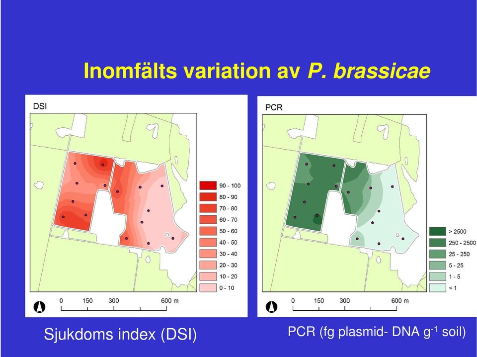 Sjukdoms index (DSI)