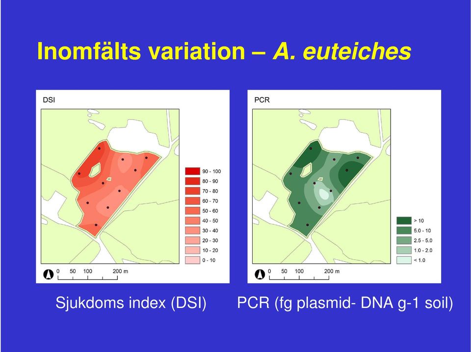 Sjukdoms index (DSI)