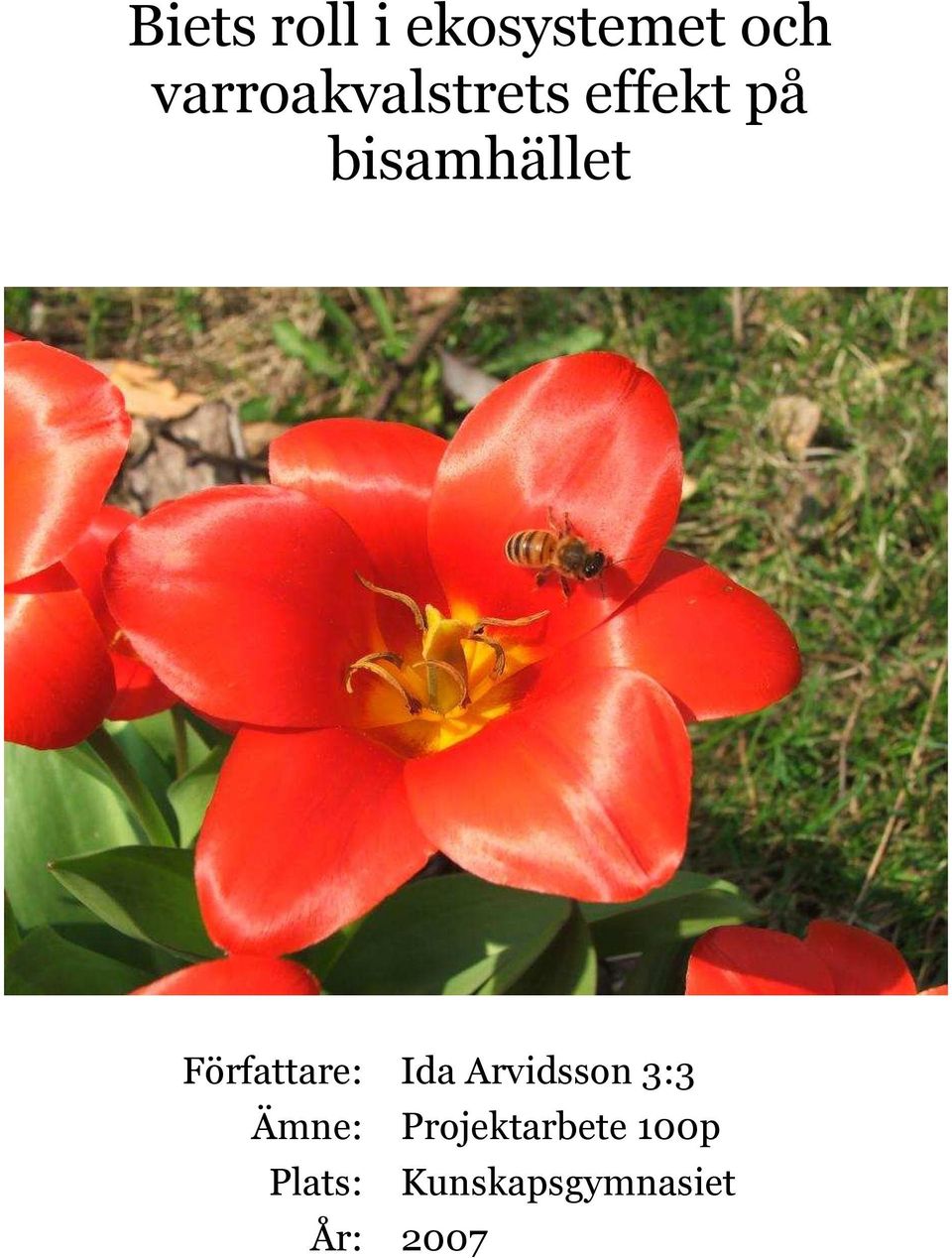 bisamhället Författare: Ida