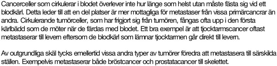 Cirkulerande tumörceller, som har frigjort sig från tumören, fångas ofta upp i den första kärlbädd som de möter när de färdas med blodet.