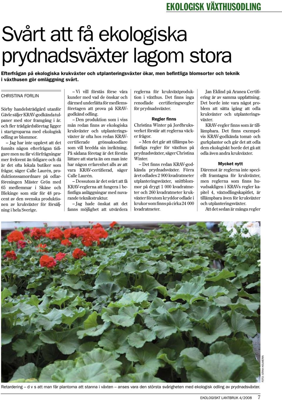 Jag har inte upplevt att det funnits någon efterfrågan tidigare men nu får vi förfrågningar mer frekvent än tidigare och då är det ofta lokala butiker som frågar, säger Calle Laurén,
