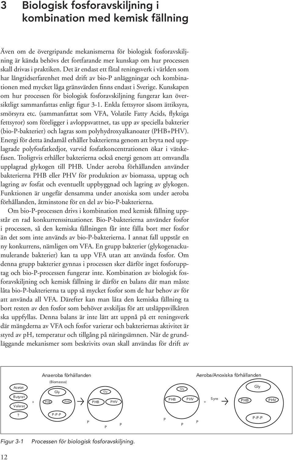 Kunskapen om hur processen för biologisk fosforavskiljning fungerar kan översiktligt sammanfattas enligt figur 3-1. Enkla fettsyror såsom ättiksyra, smör syra etc.