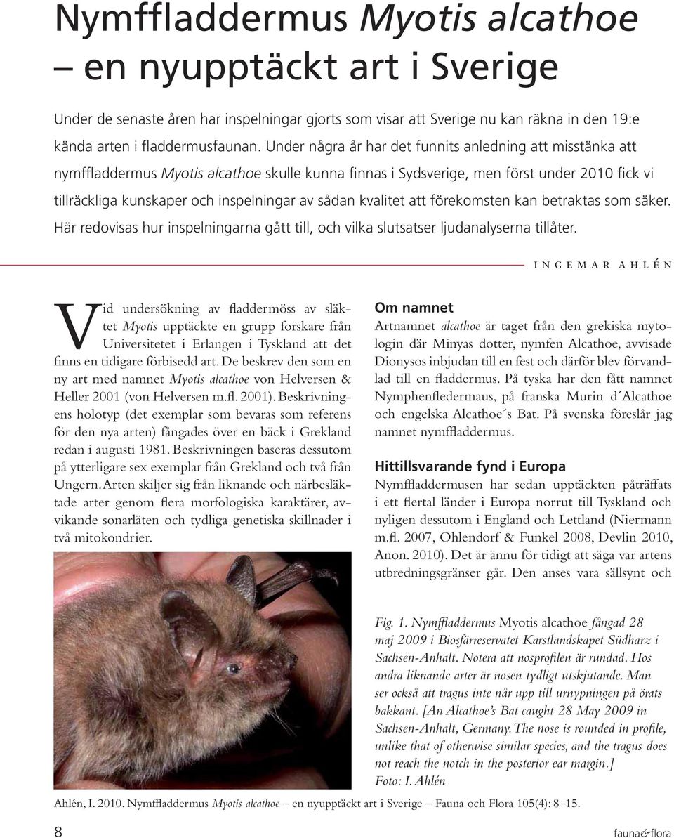 sådan kvalitet att förekomsten kan betraktas som säker. Här redovisas hur inspelningarna gått till, och vilka slutsatser ljudanalyserna tillåter.