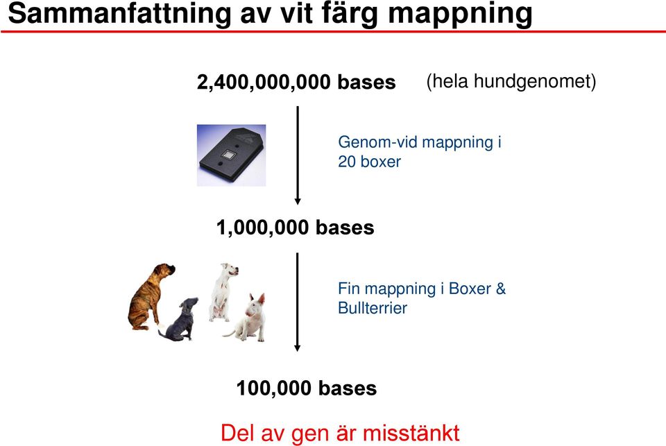 mappning i 20 boxer 1,000,000 bases Fin mappning