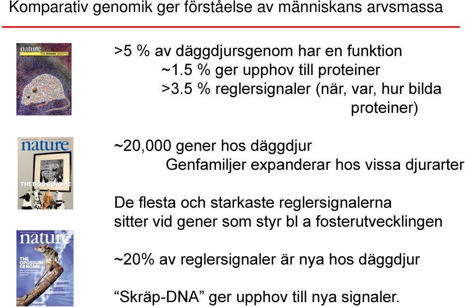 5 % reglersignaler (när, var, hur bilda proteiner) ~20,000 gener hos däggdjur Genfamiljer expanderar hos