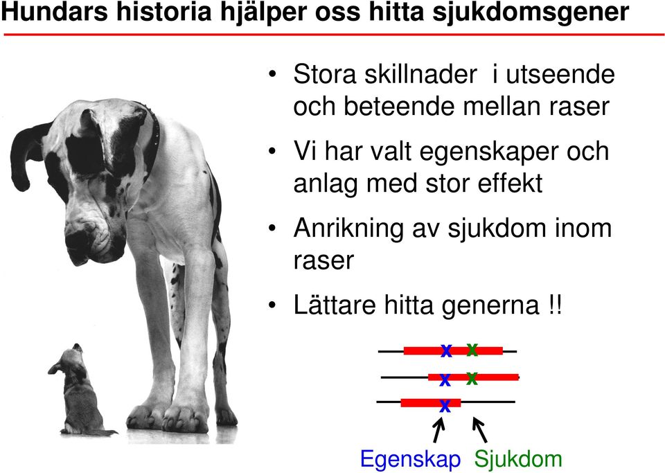 valt egenskaper och anlag med stor effekt Anrikning av