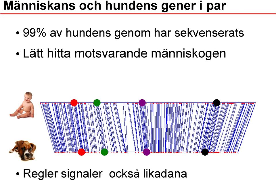 sekvenserats Lätt hitta