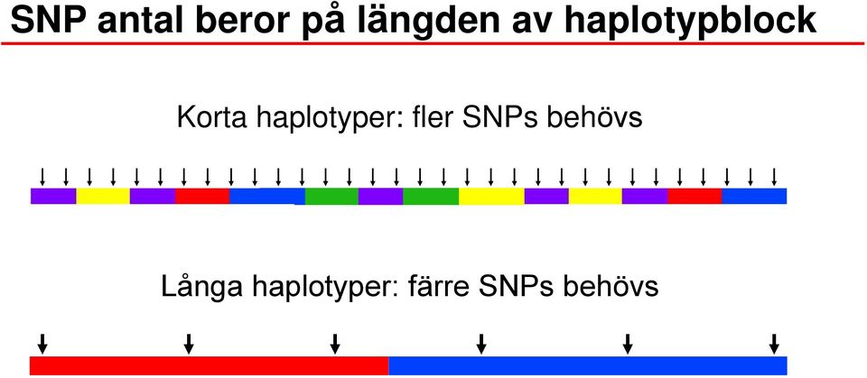 haplotyper: fler SNPs behövs