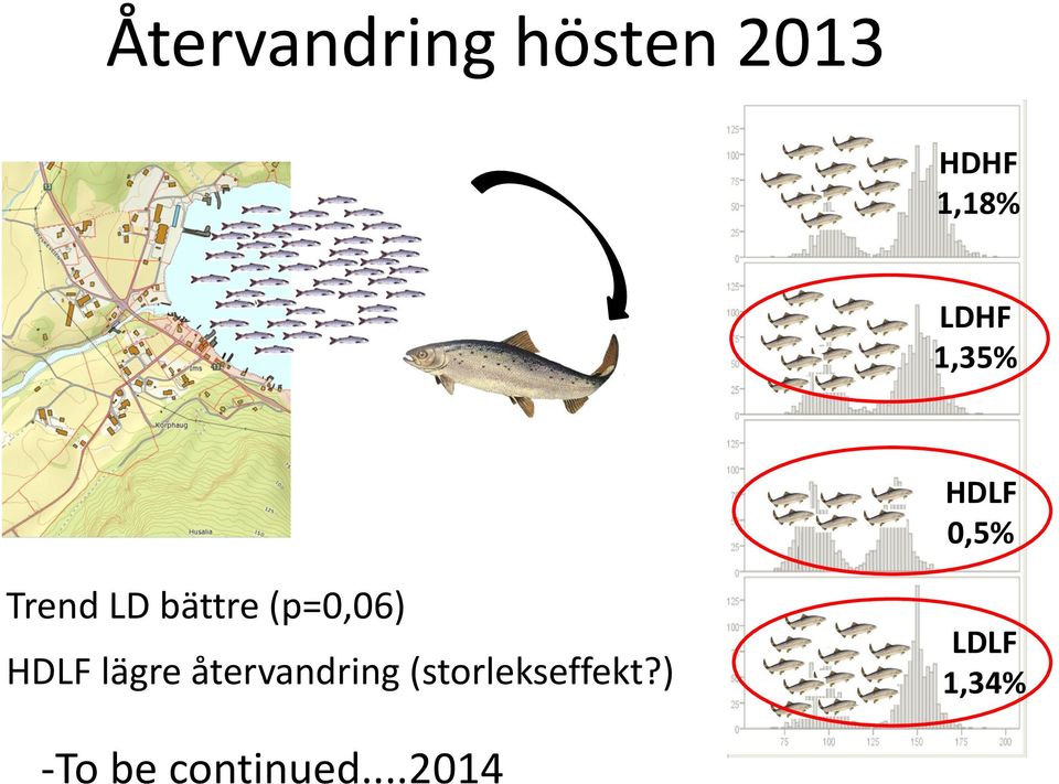 (p=0,06) HDLF lägre återvandring