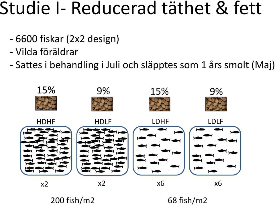 Juli och släpptes som 1 års smolt (Maj) 15% 9% 15%