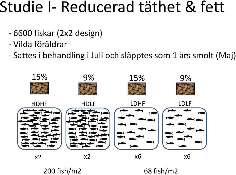 Juli och släpptes som 1 års smolt (Maj) 15% 9% 15%