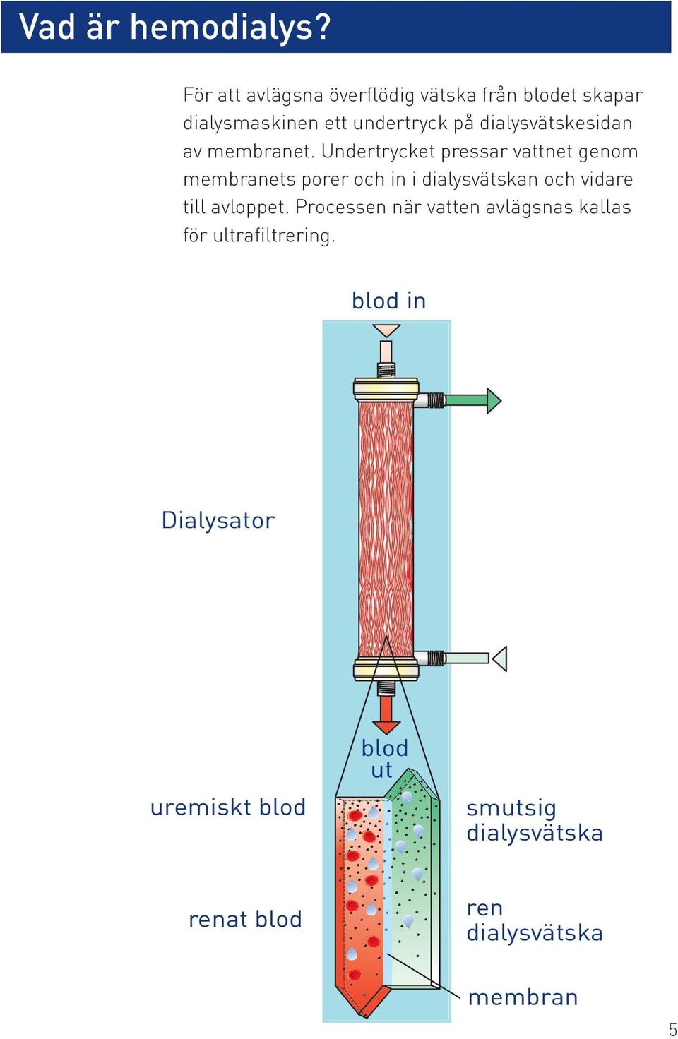 dialysvätskesidan av membranet.
