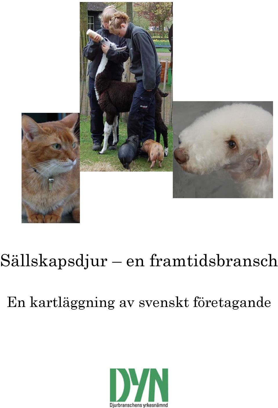 En kartläggning