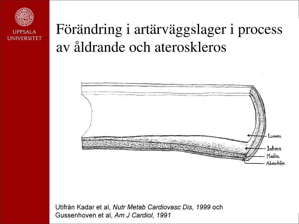 Kadar et al, Nutr Metab Cardiovasc Dis,