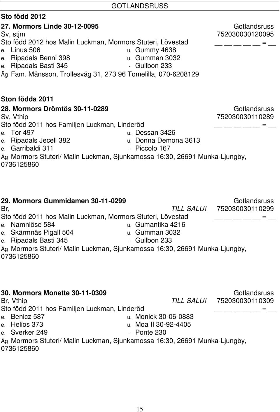 Mormors Drömtös 30-11-0289 Gotlandsruss Sv, Vthip 752030030110289 Sto född 2011 hos Familjen Luckman, Linderöd e. Tor 497 u. Dessan 3426 e. Ripadals Jecell 382 u. Donna Demona 3613 e.