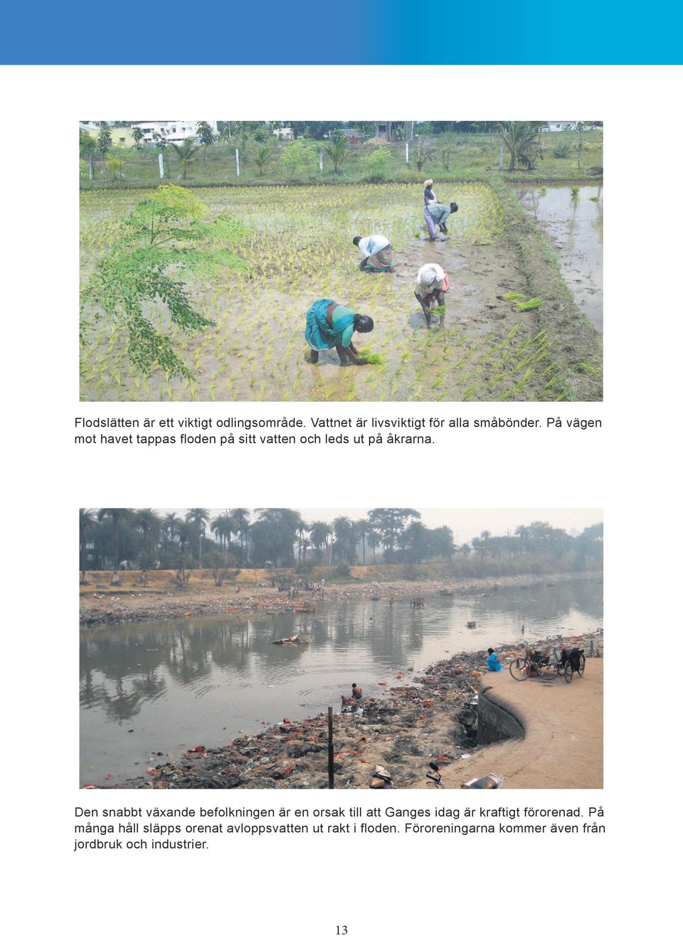 Den snabbt växande befolkningen är en orsak till att Ganges idag är kraftigt förorenad.