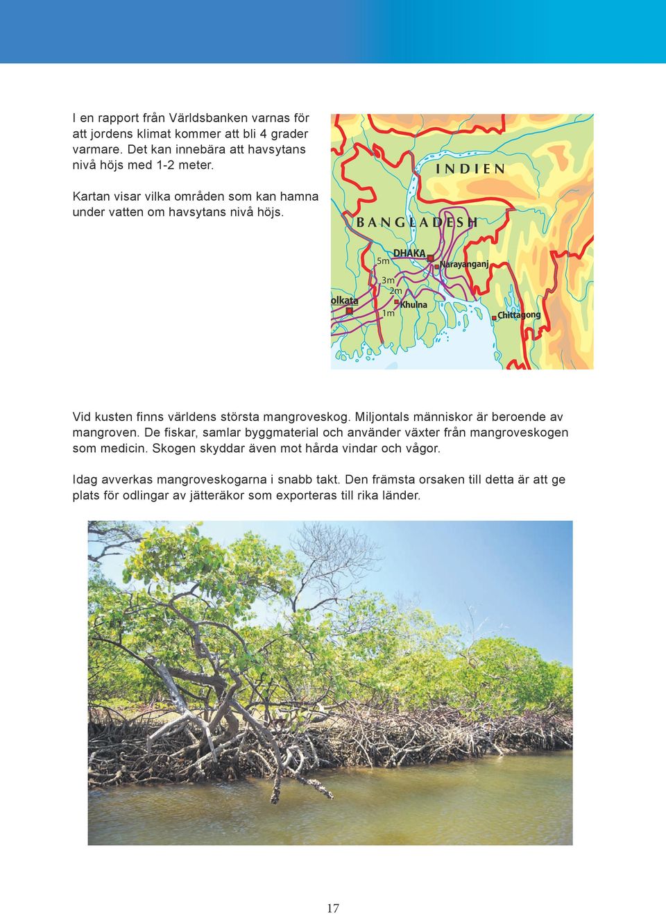 INDIEN BANGLADESH Kolkata 5m 3m 2m 1m DHAKA Khulna Narayanganj Chittagong Vid kusten finns världens största mangroveskog. Miljontals människor är beroende av mangroven.