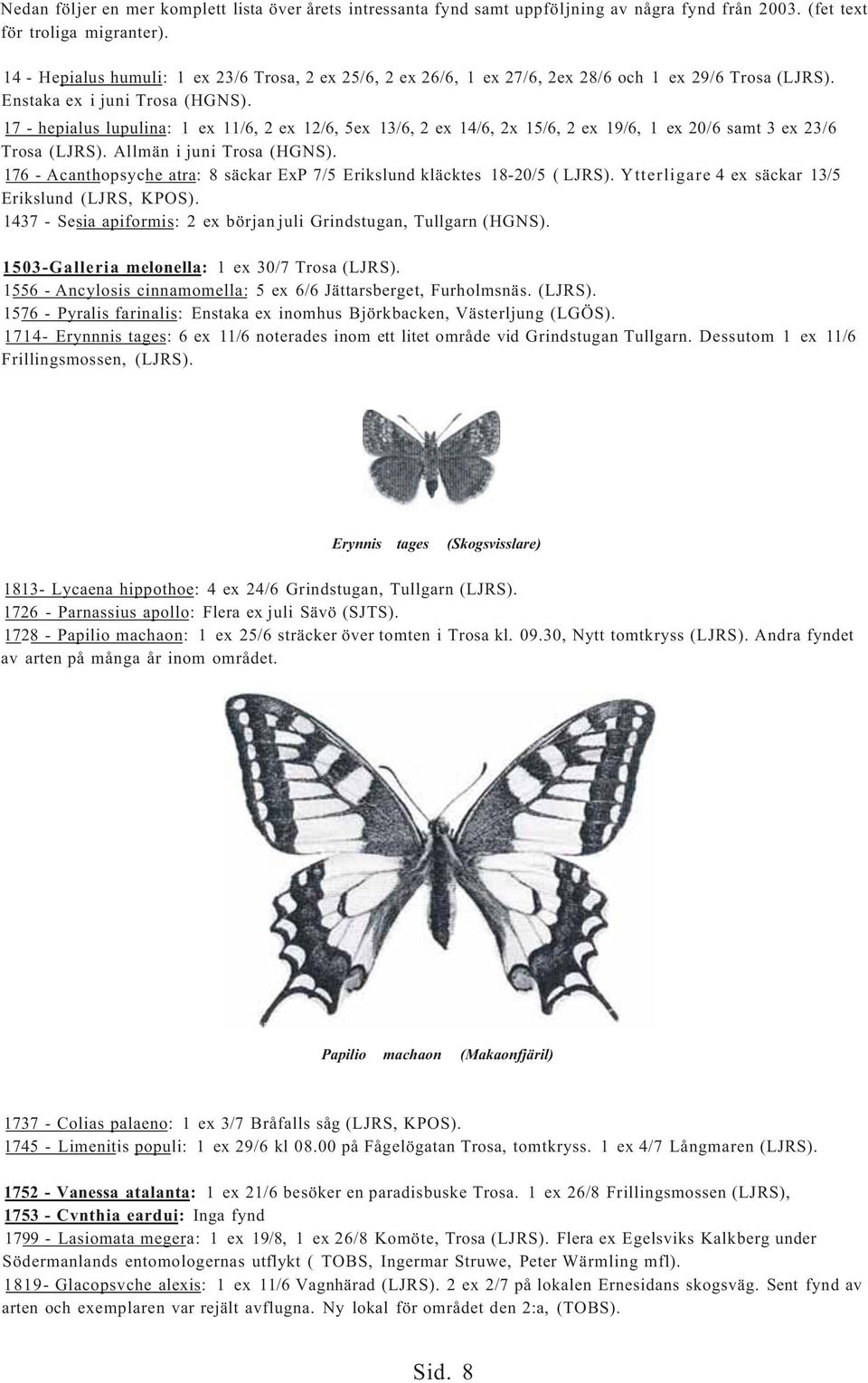 17 - hepialus lupulina: 1 ex 11/6, 2 ex 12/6, 5ex 13/6, 2 ex 14/6, 2x 15/6, 2 ex 19/6, 1 ex 20/6 samt 3 ex 23/6 Trosa (LJRS). Allmän i juni Trosa (HGNS).