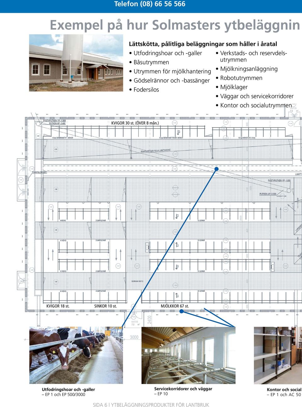 Fodersilos Mjölklager Väggar och servicekorridorer Kontor och socialutrymmen KVIGOR 30 st. (ÖVER 8 mån.) KVIGOR 18 st. SINKOR 10 st. MJÖLKKOR 67 st.